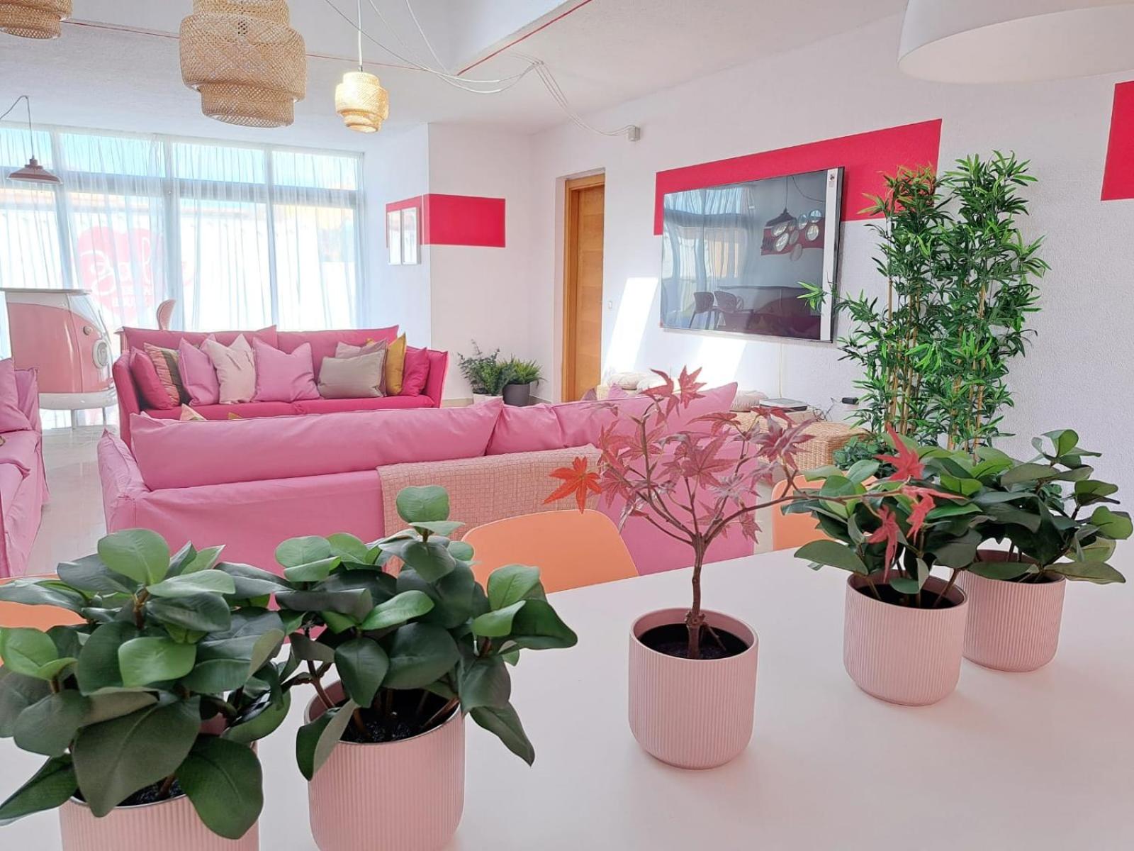 lounge