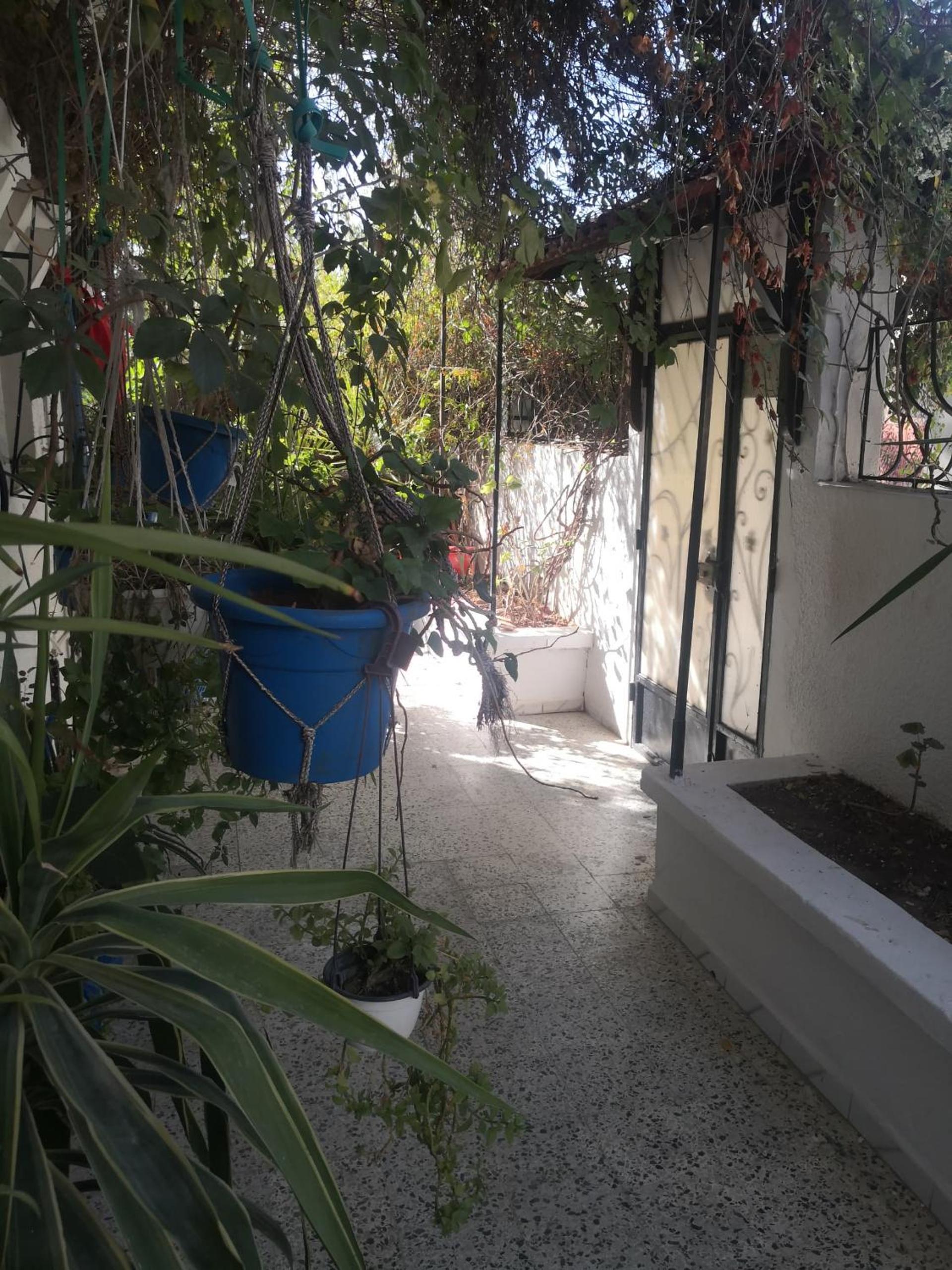 Casa Zitouna - Guest House - Kef, Tunisia