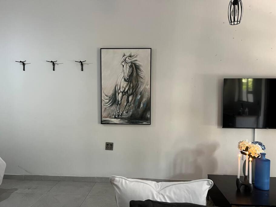 Cosy apt 5min to Sandton City 8