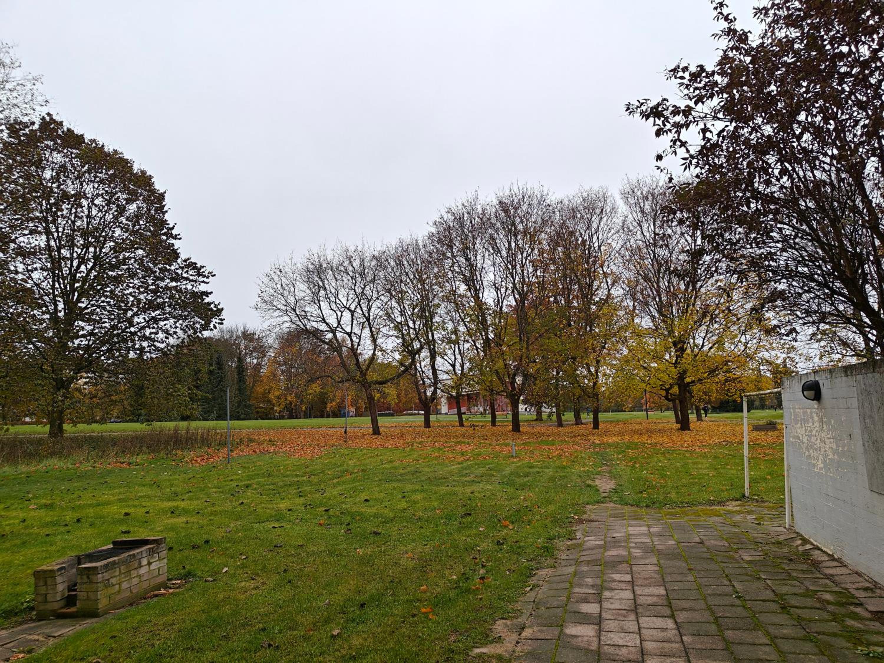 Photo 33