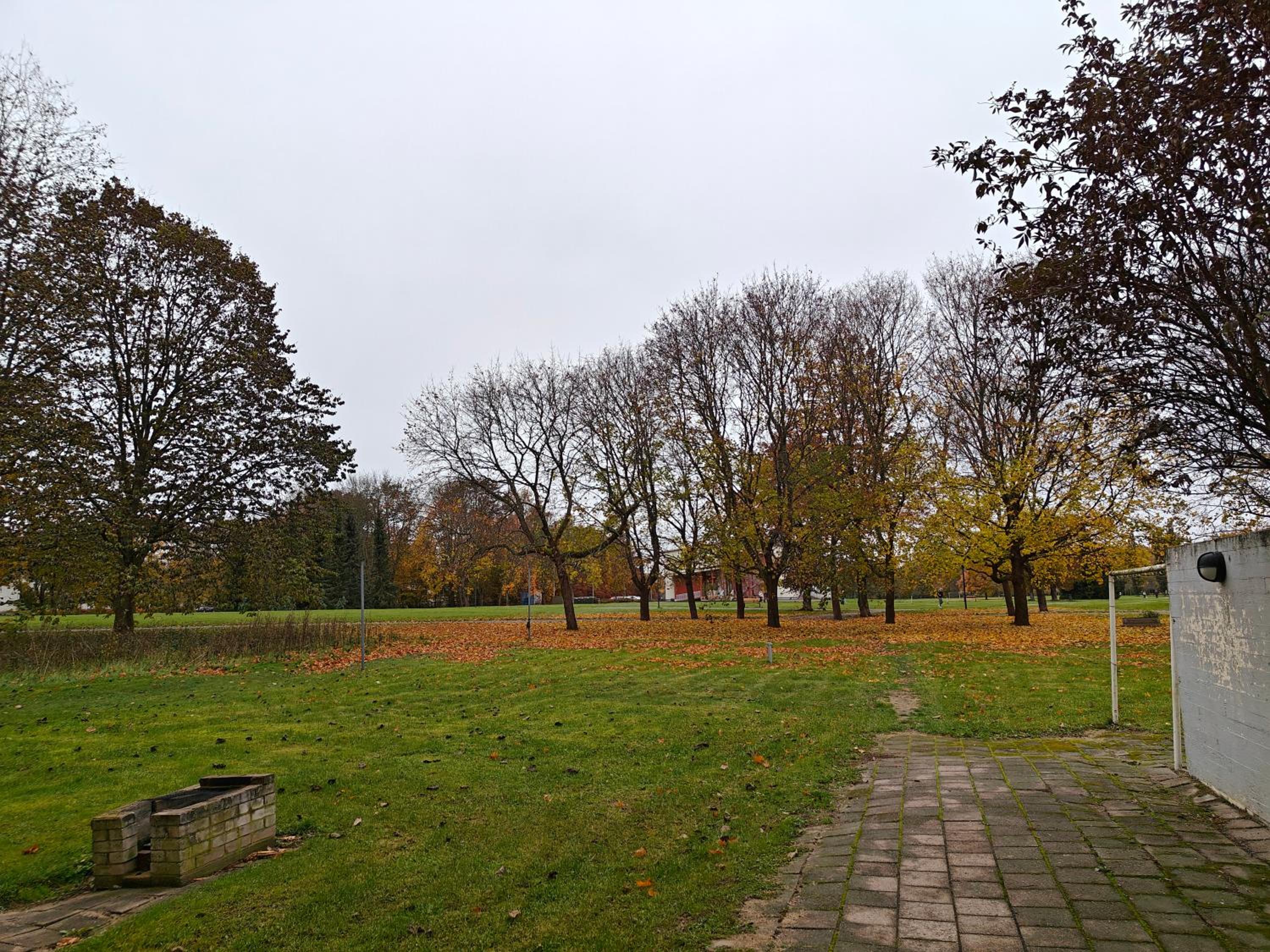 Photo 32