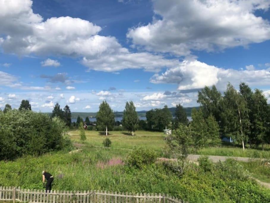 Huset i skogen med utsikten view 5