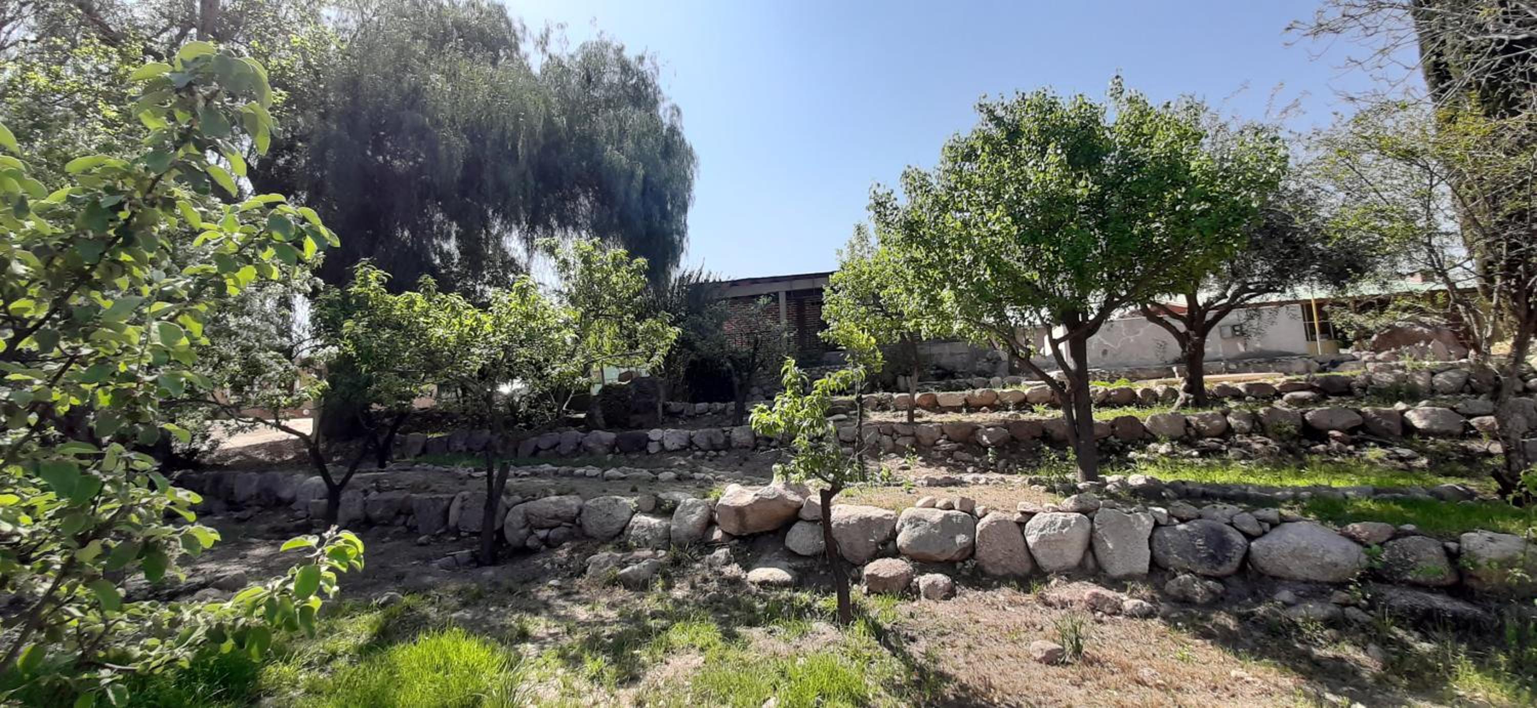 San Pedro 1