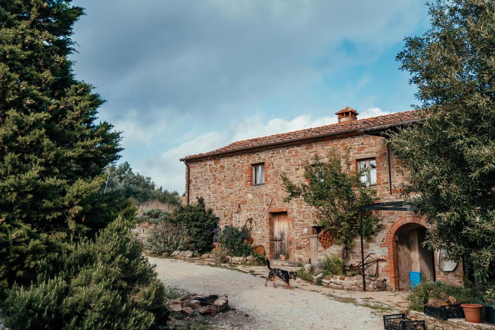 Reggioli- Appartamento Cestaio