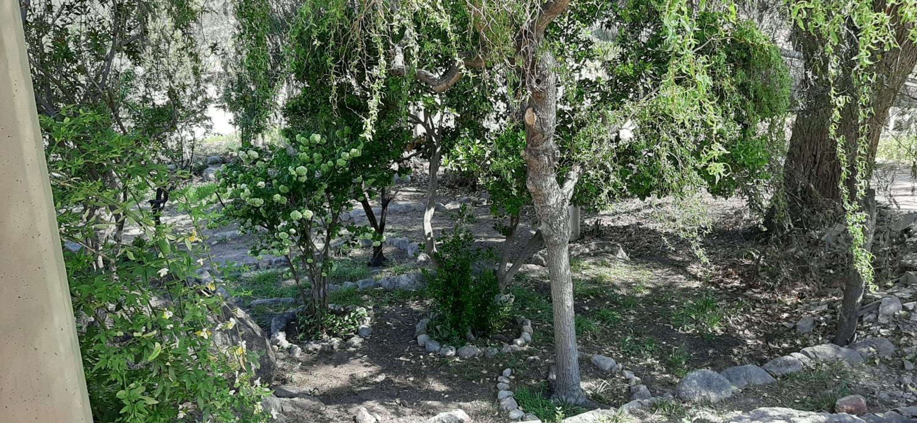 San Pedro 1