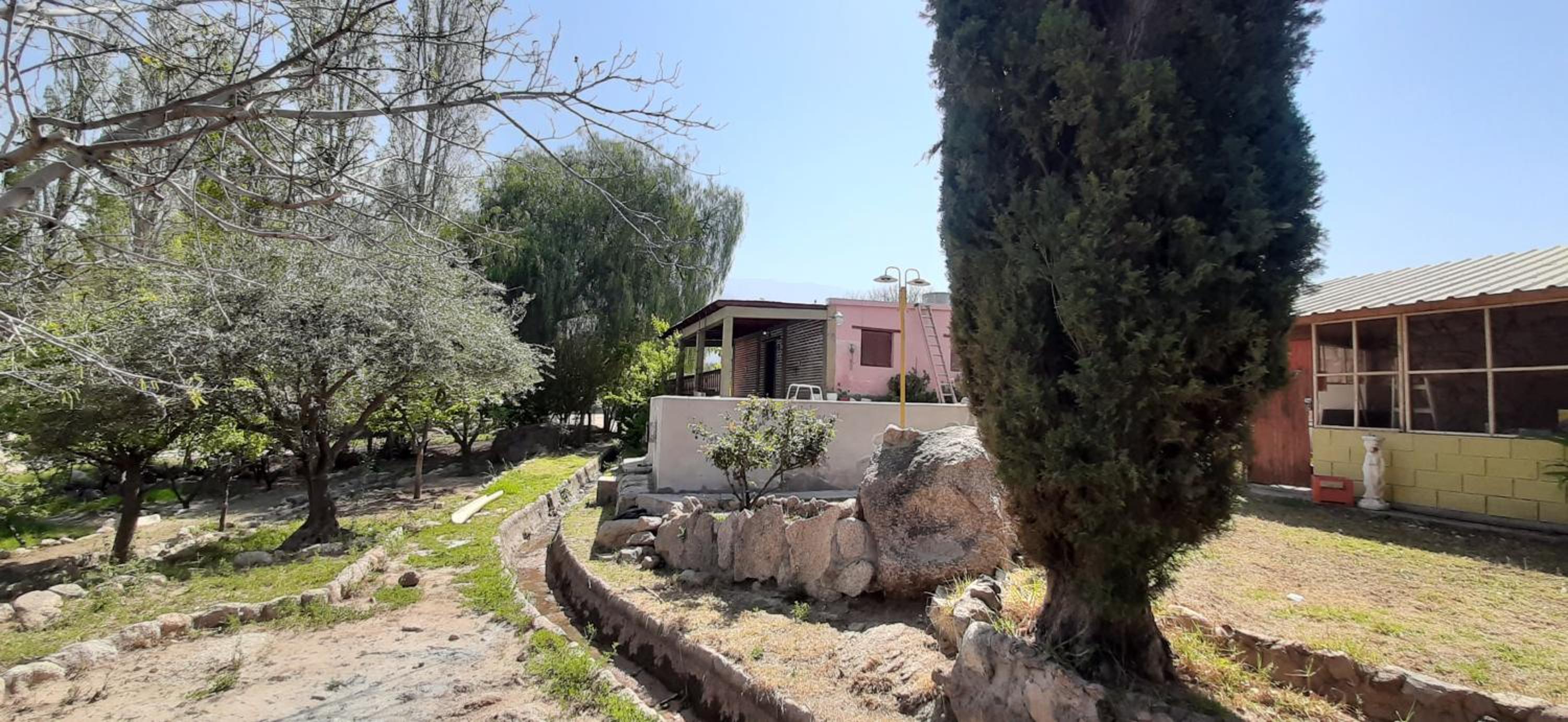 San Pedro 1