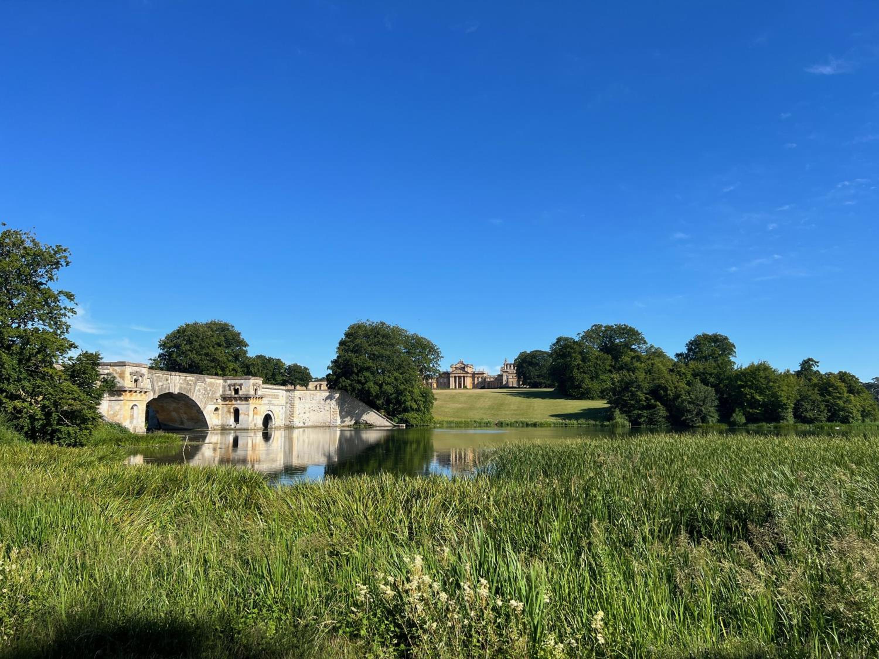 The Dovecote