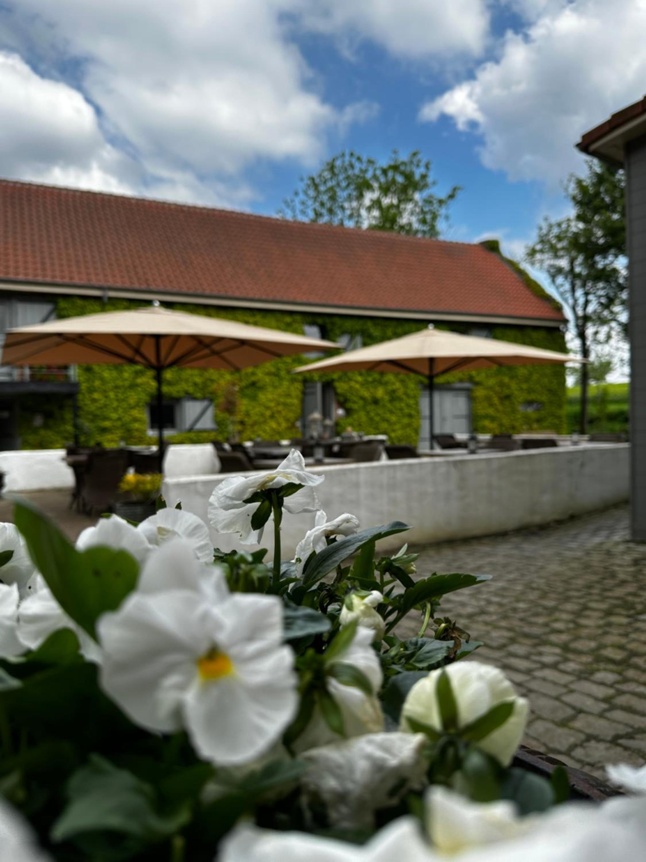 De Verborgen Parel B&B