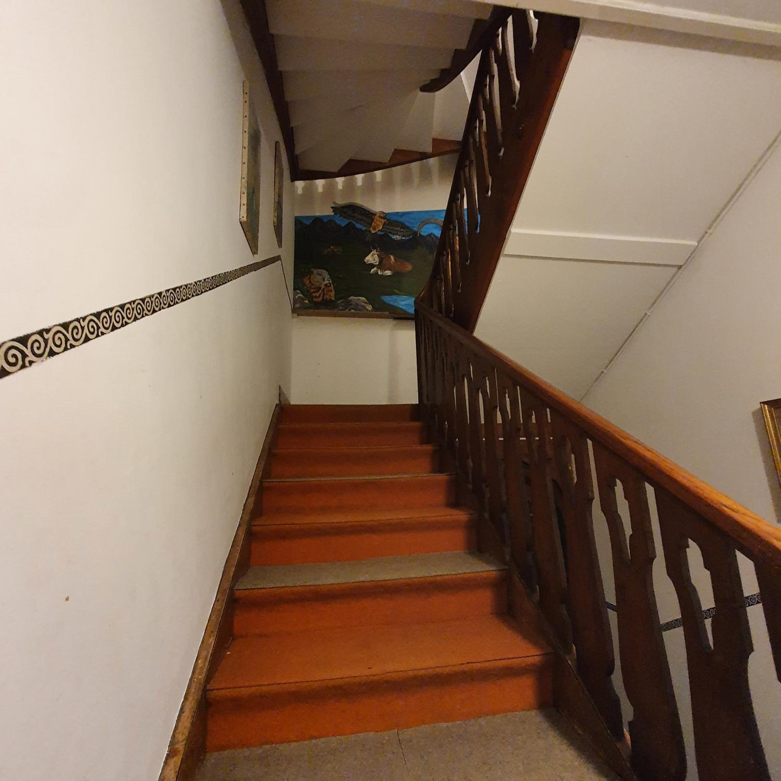 Traditional Swiss-Flat view 5
