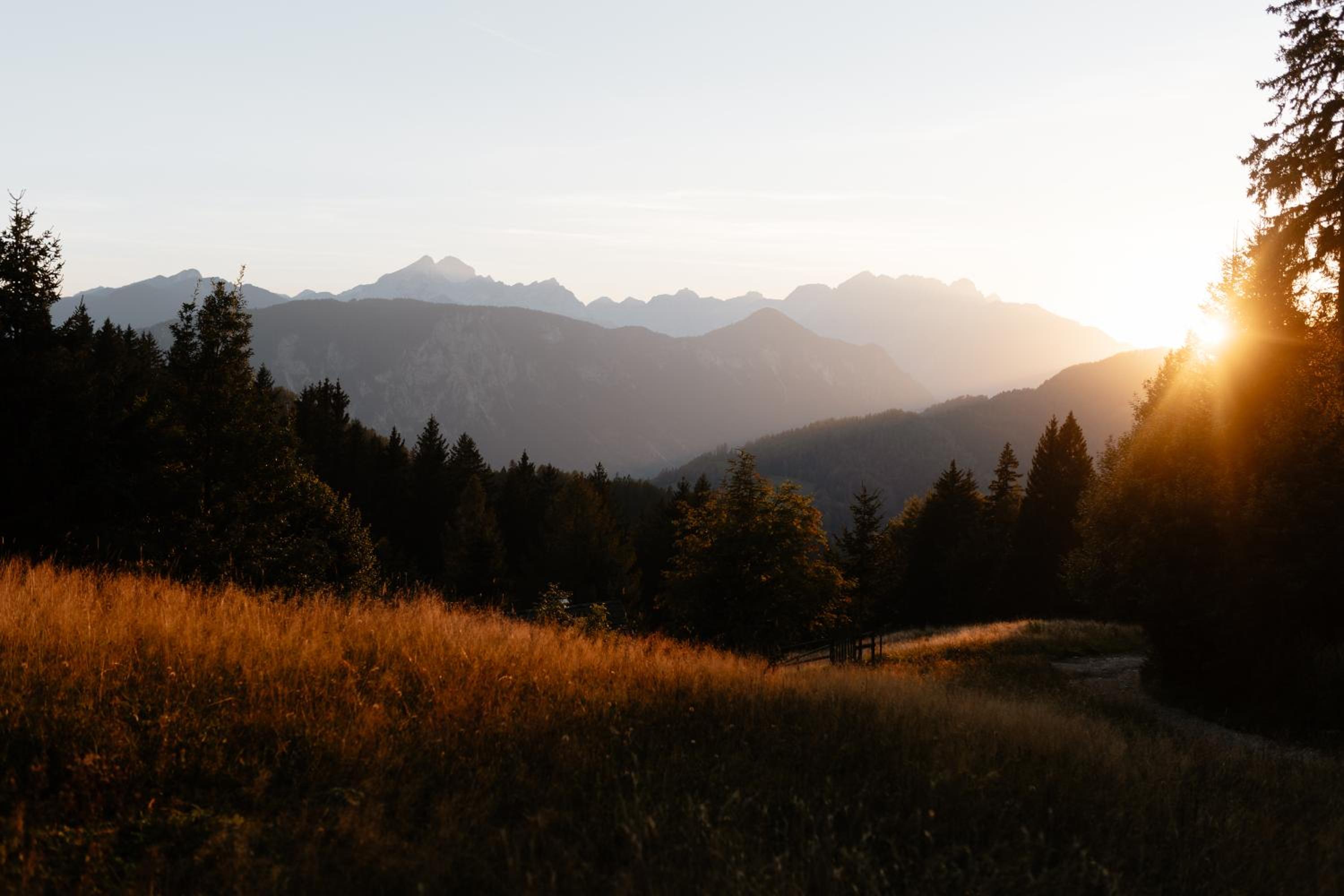 Alpine Cottage Golica