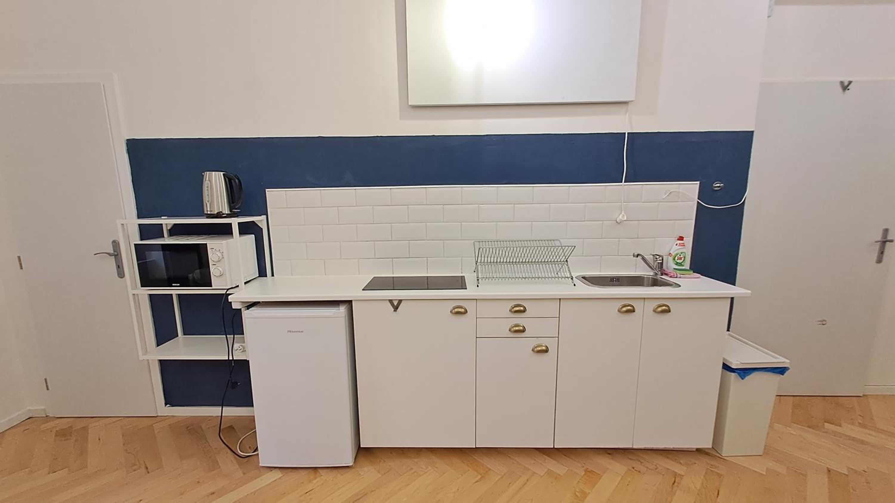 Spacious, Light Studio Apartment in Vinohrady