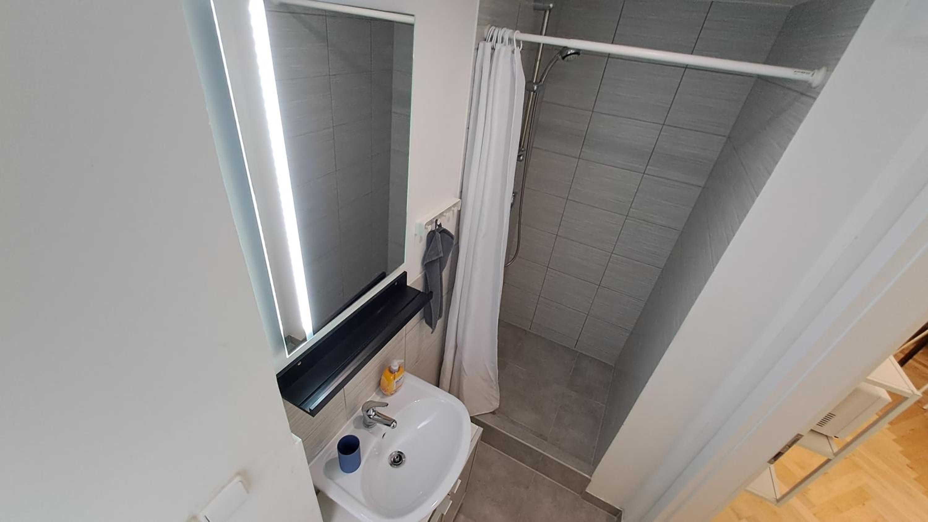 Spacious, Light Studio Apartment in Vinohrady