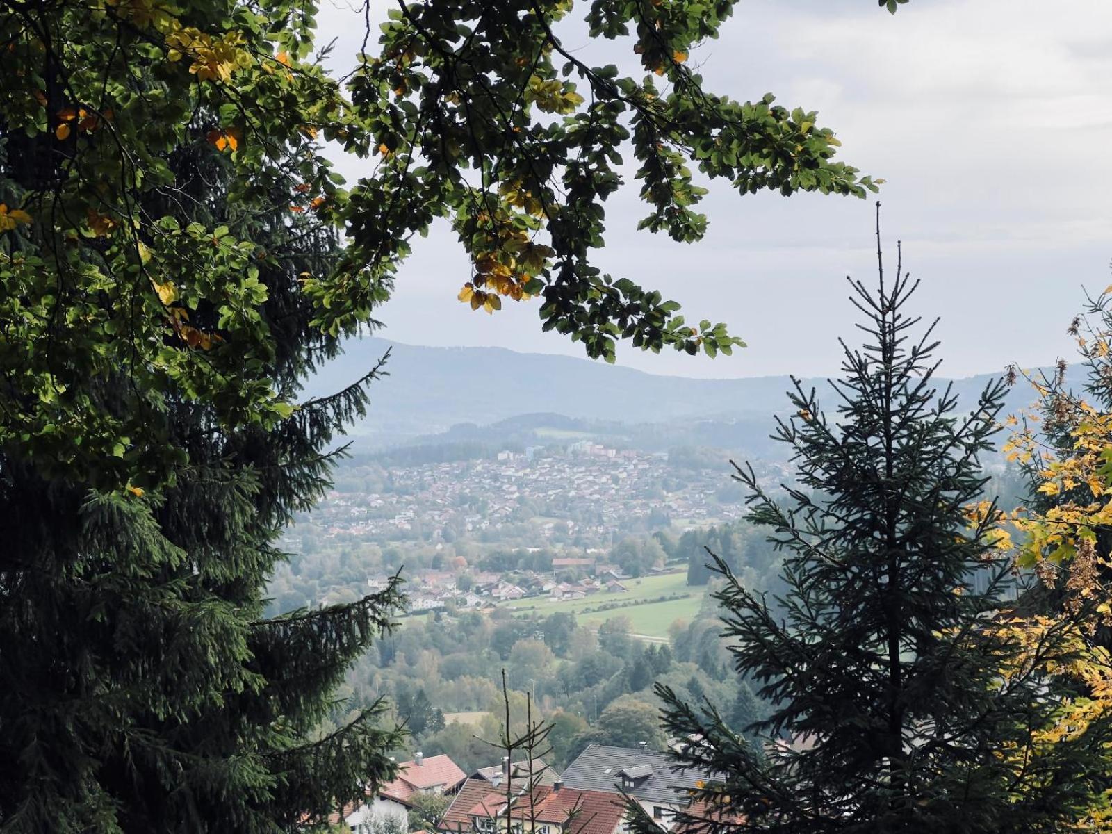 Ferienwohnung Traum am Berg