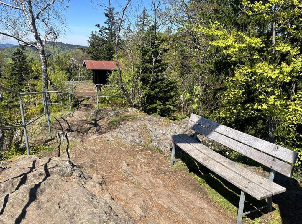 Ferienwohnung Traum am Berg