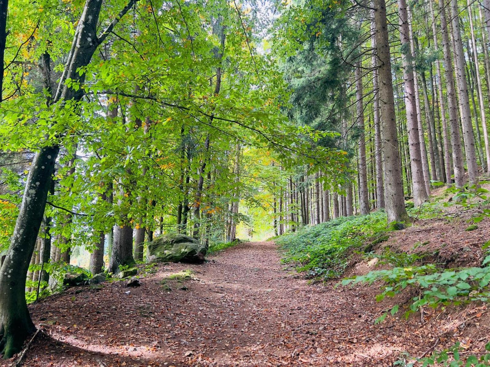 Ferienwohnung Traum am Berg