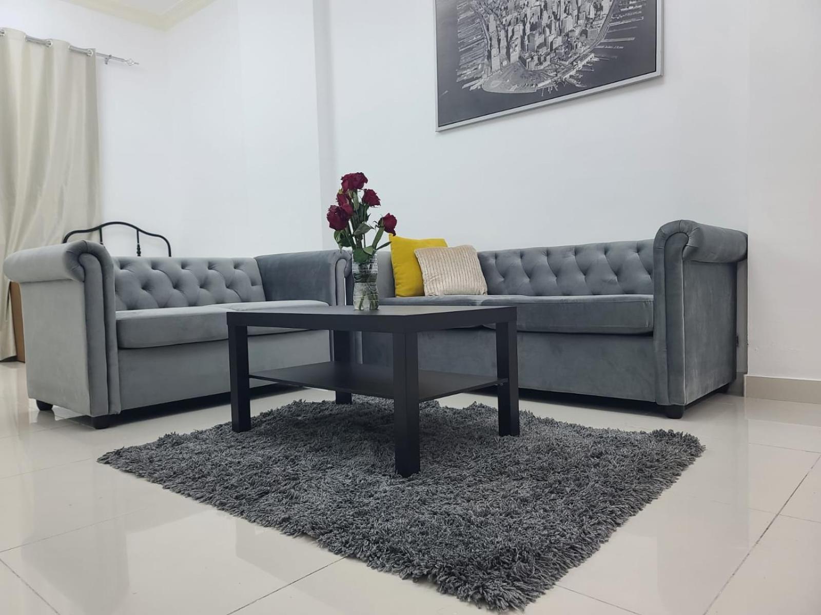 Budget Rental Studio Apartments in Dubai