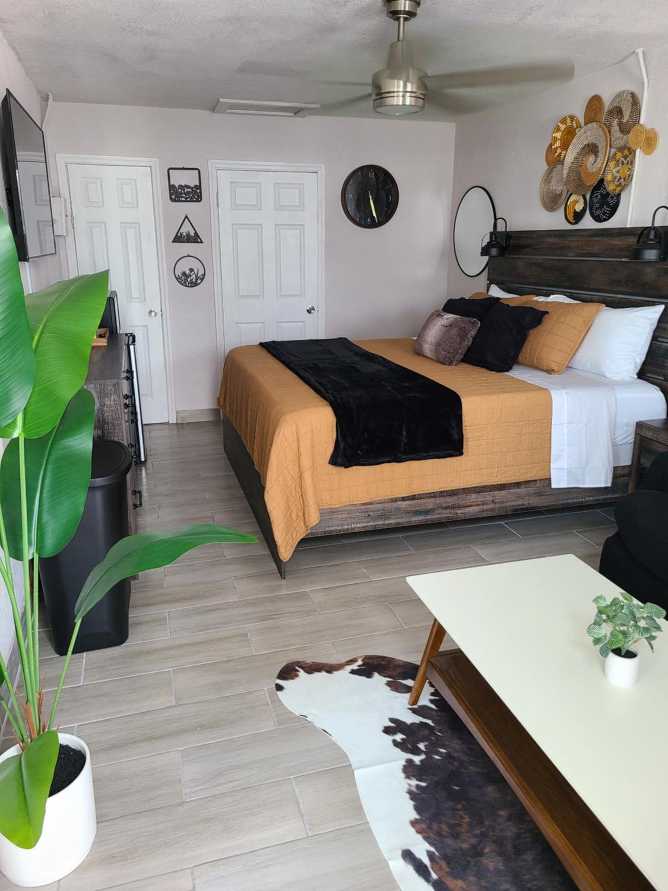 Cozy King Bed Studio - Affordable Fresh Cozy view 2