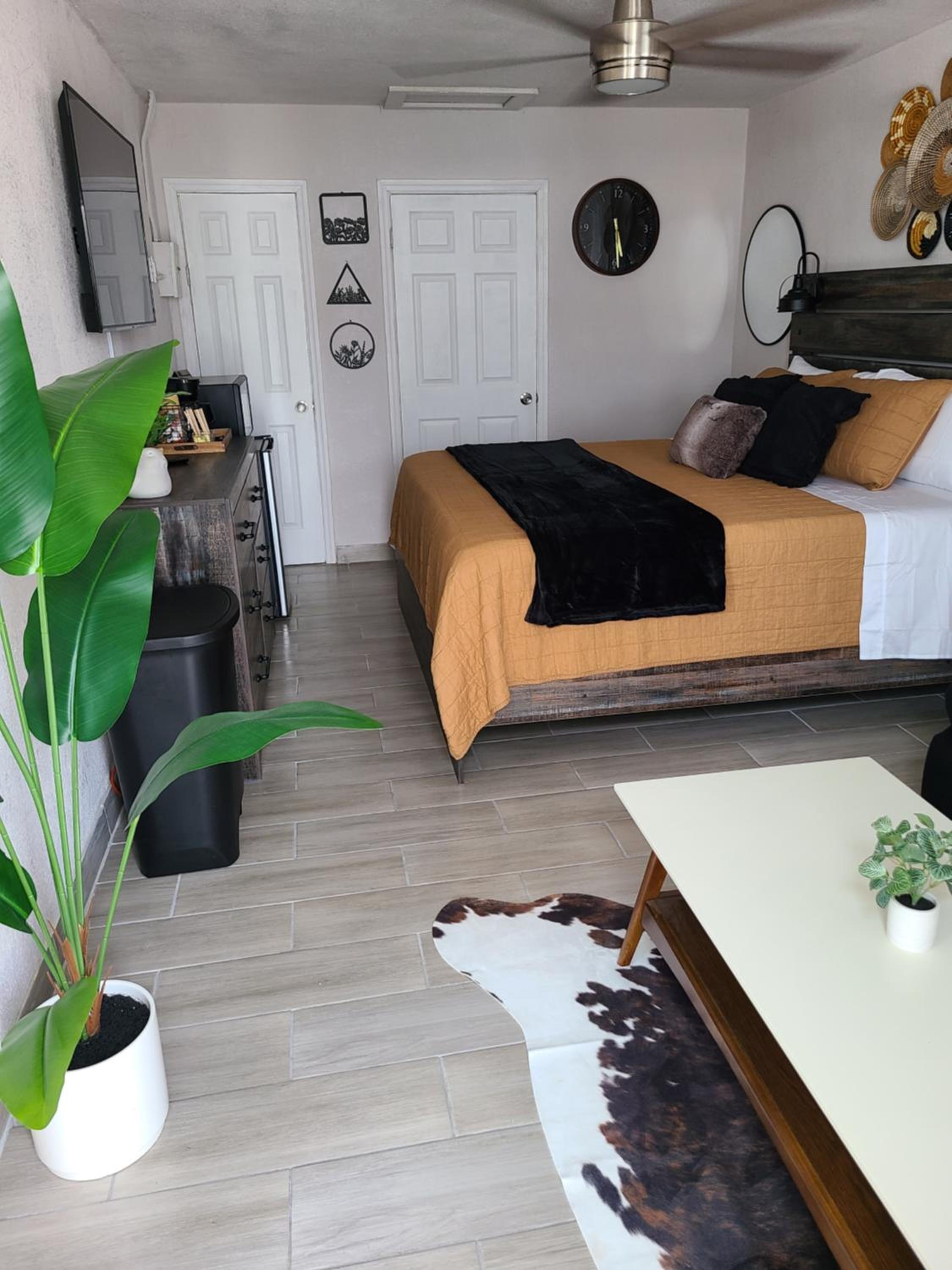 Cozy King Bed Studio - Affordable Fresh Cozy view 5