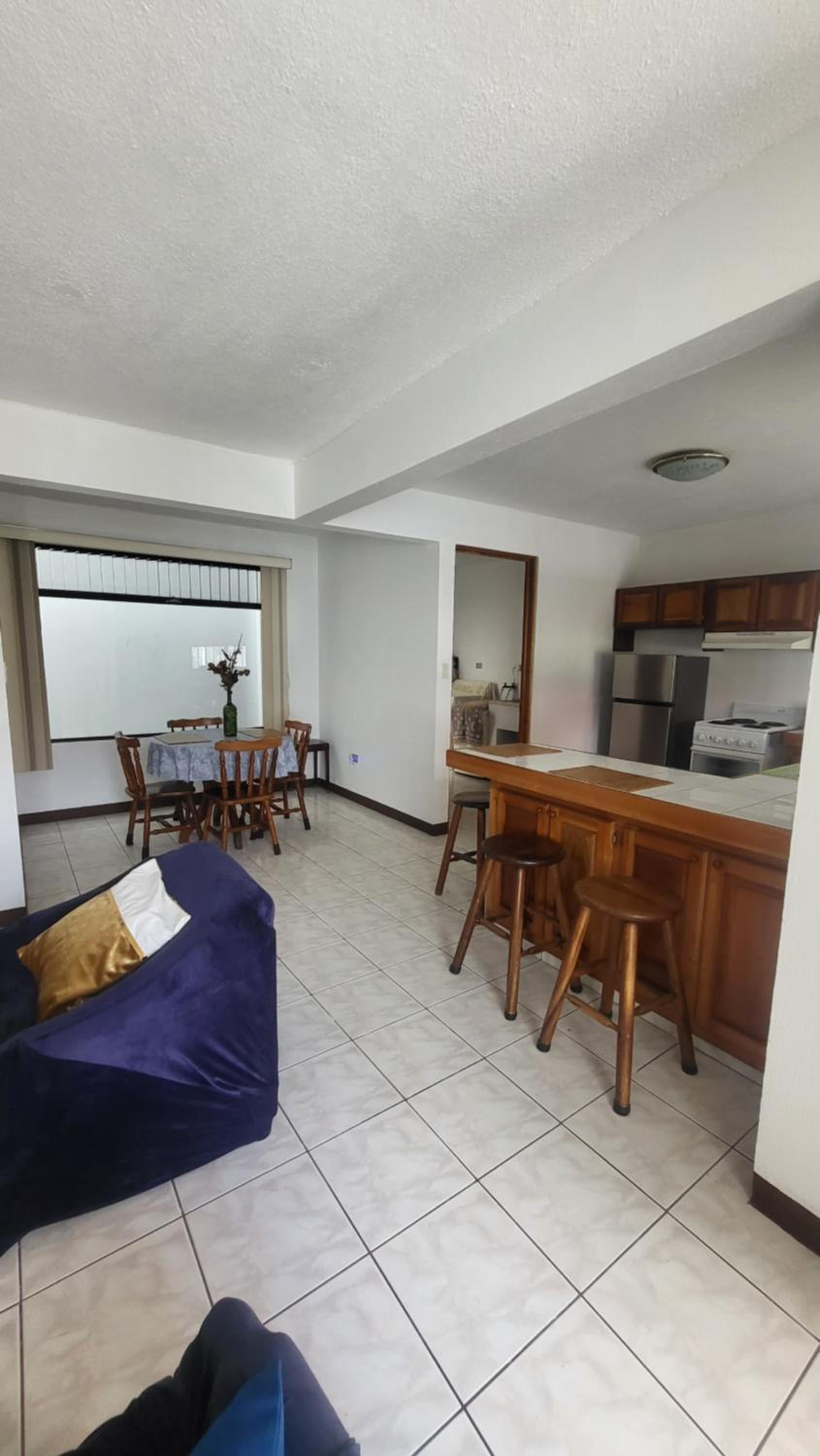 Don Carlos Place LOWER UNIT