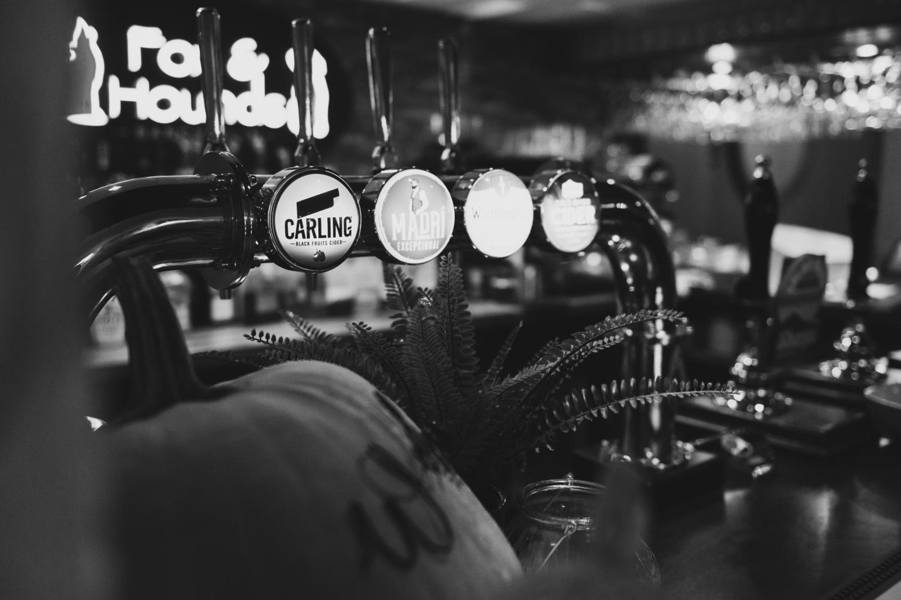 The Fox and Hounds view 4