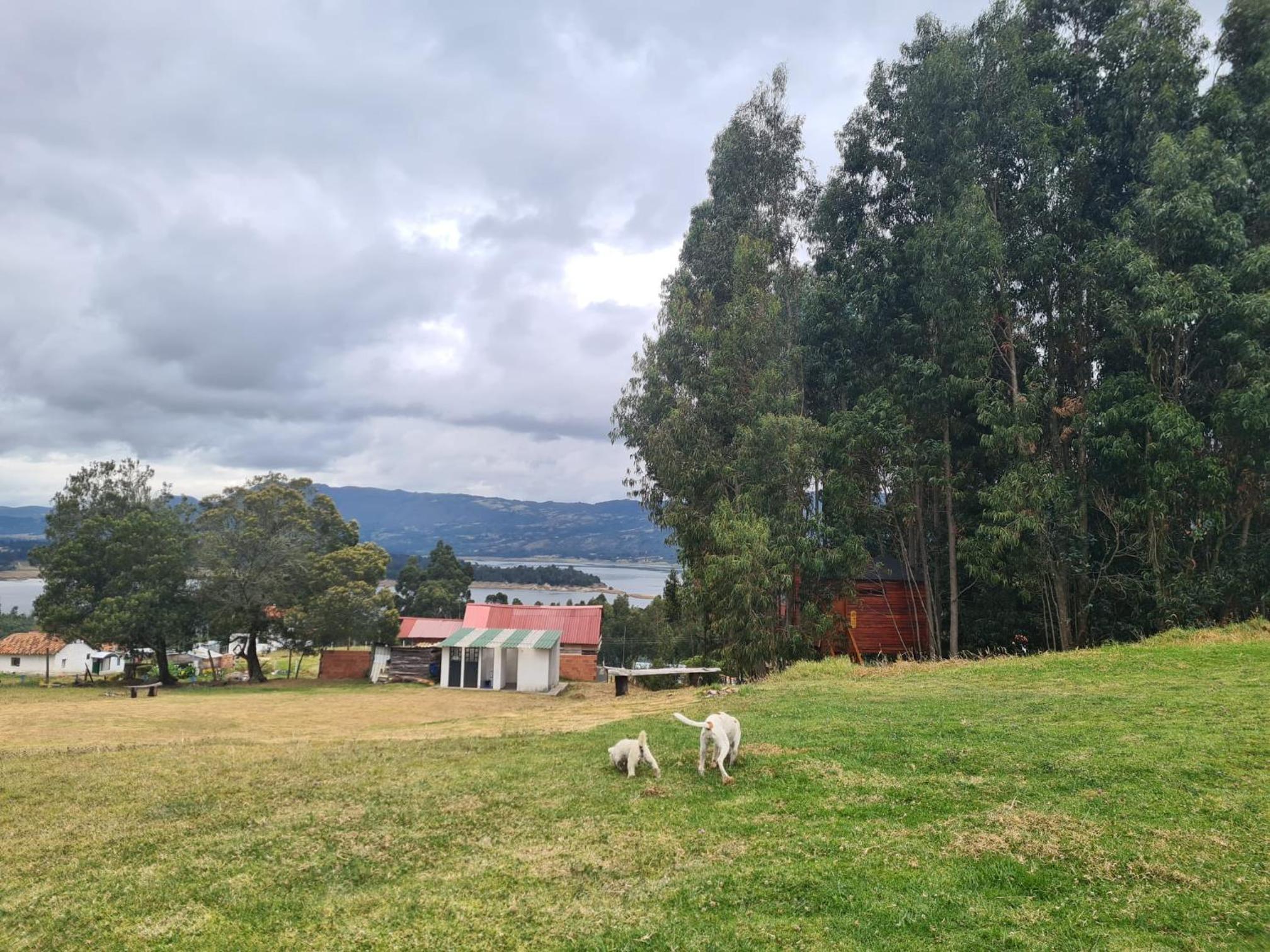 Hospedaje Guatavita cabaña tippie