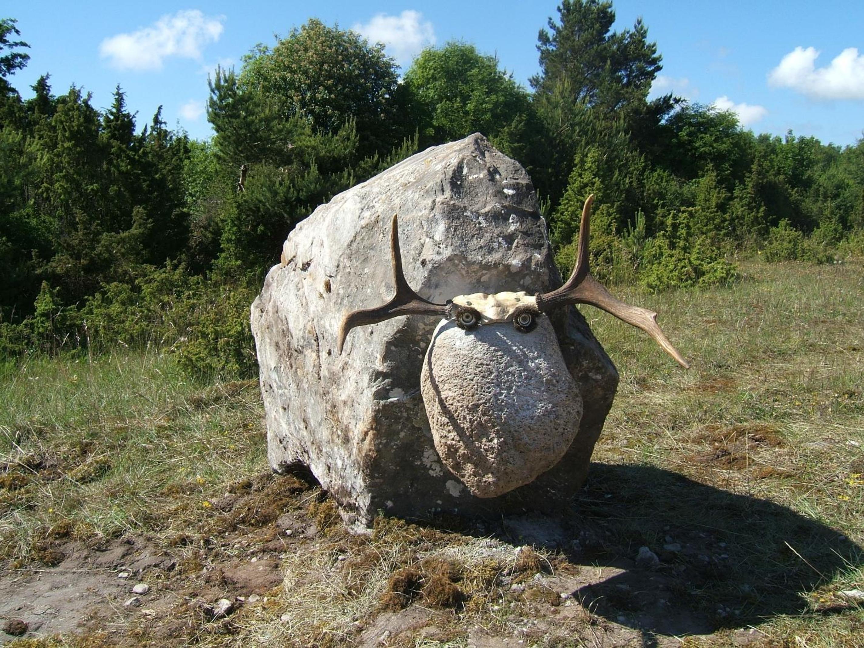 Photo 20