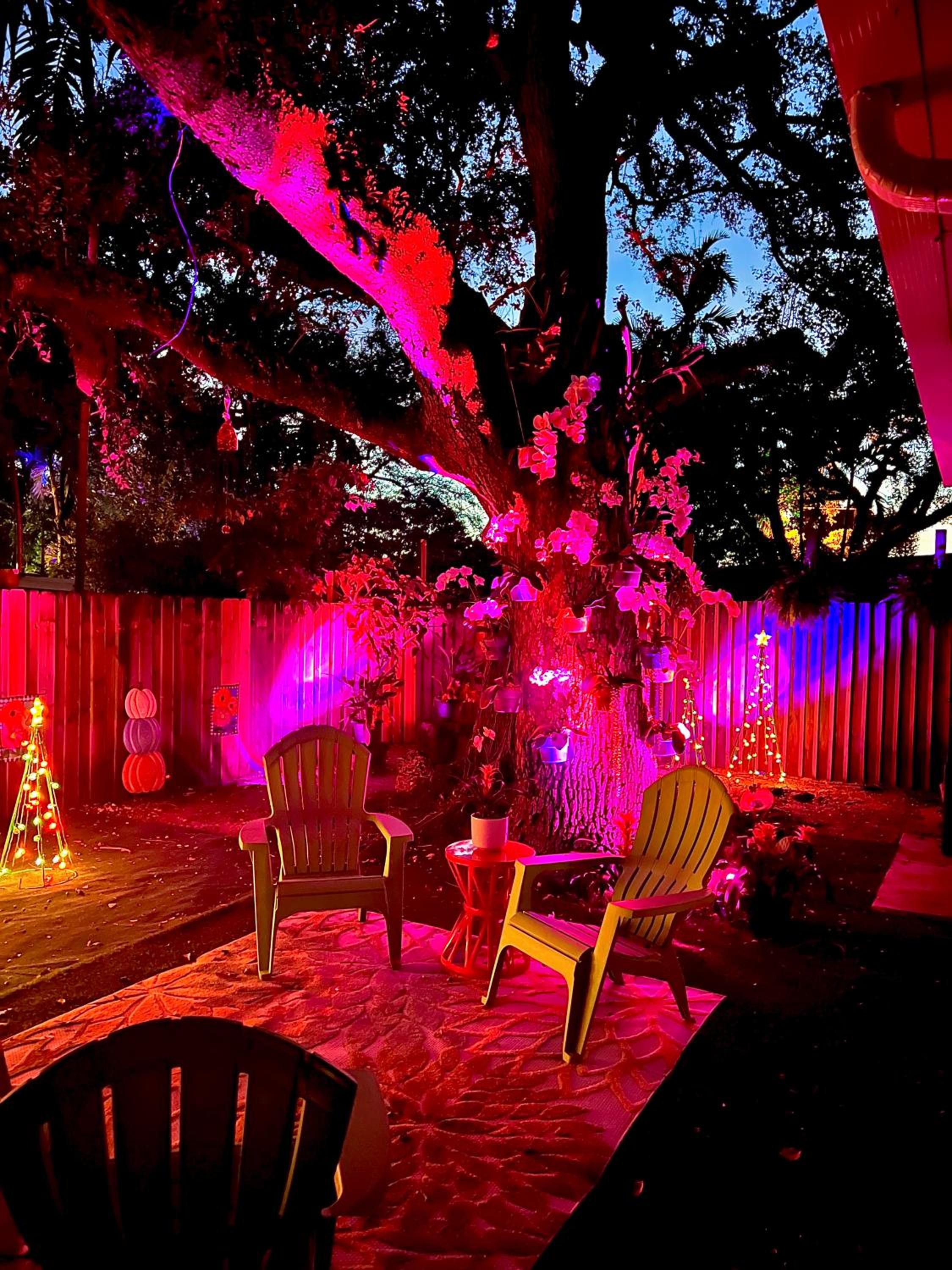 The Boutique Guest House
