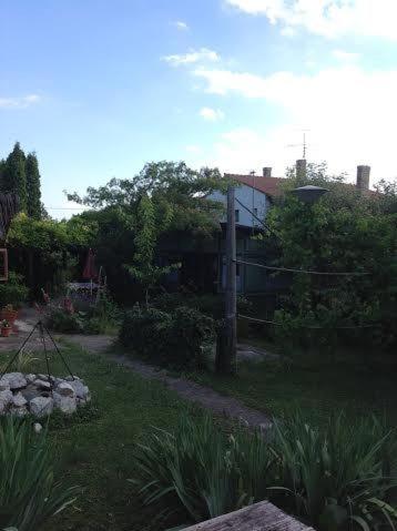 Photo 44