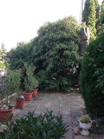 Photo 46