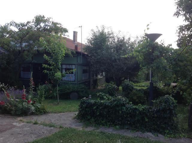Photo 47