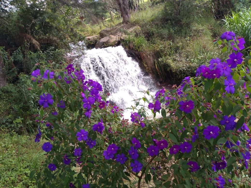 Chalés Cachoeira do Vale