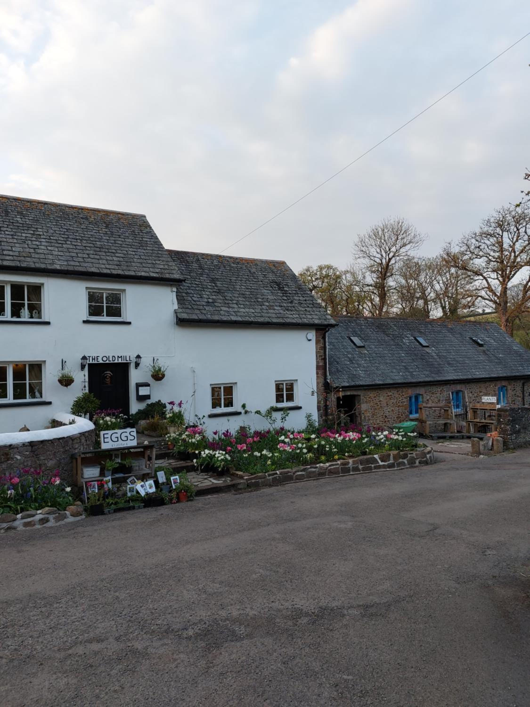 The Millers Cottage view 2