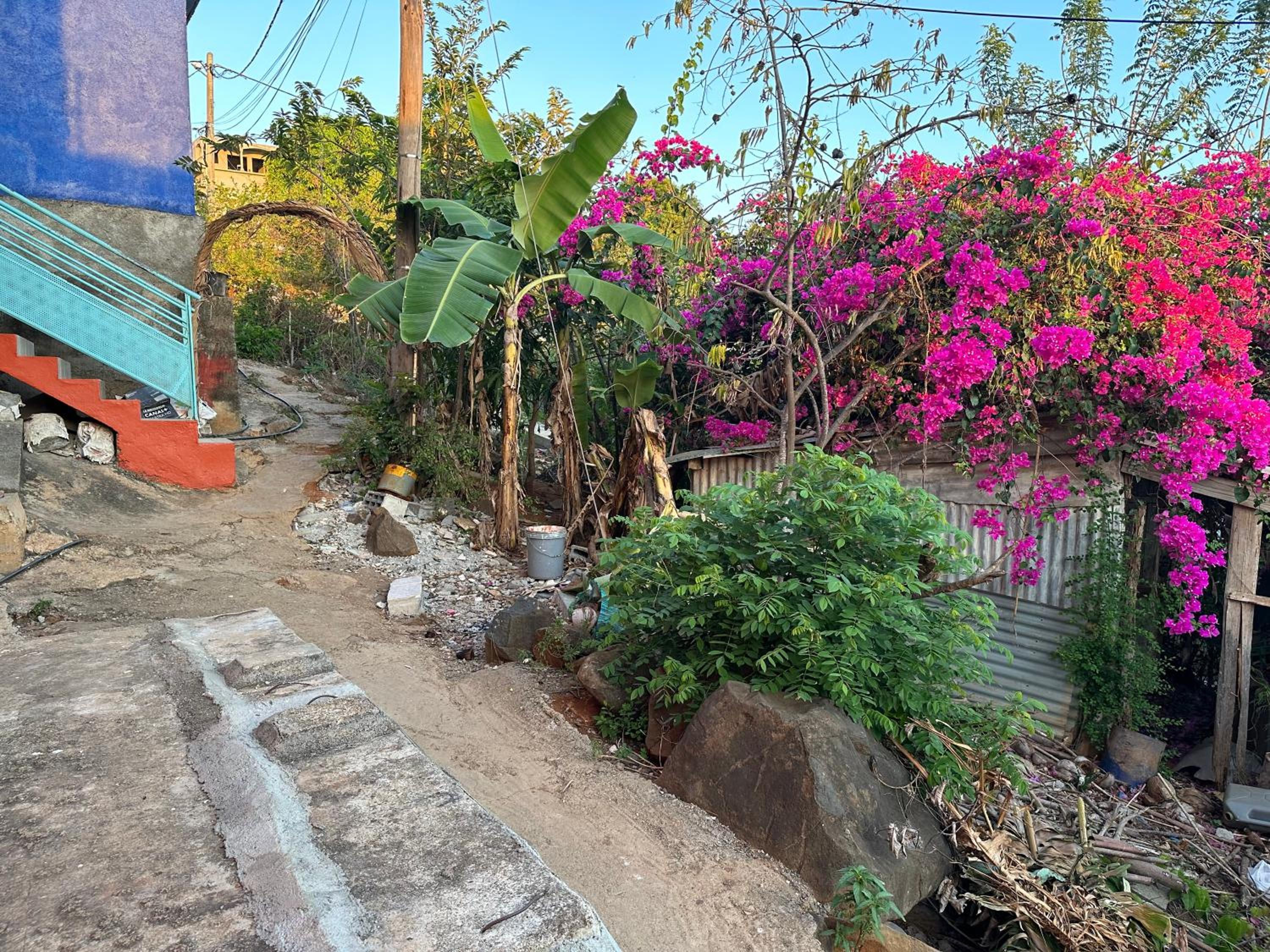 Photo 19
