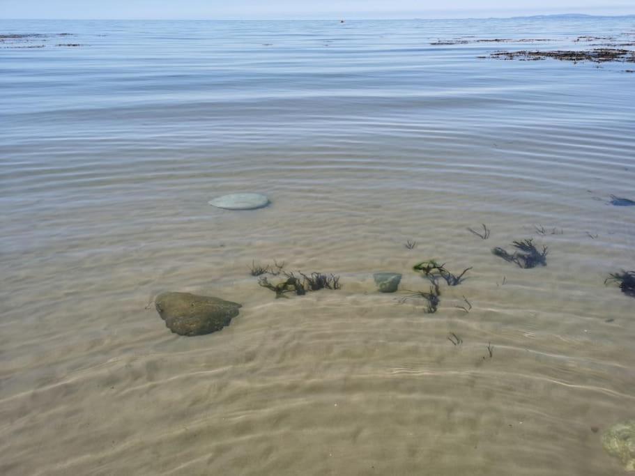 Photo 49