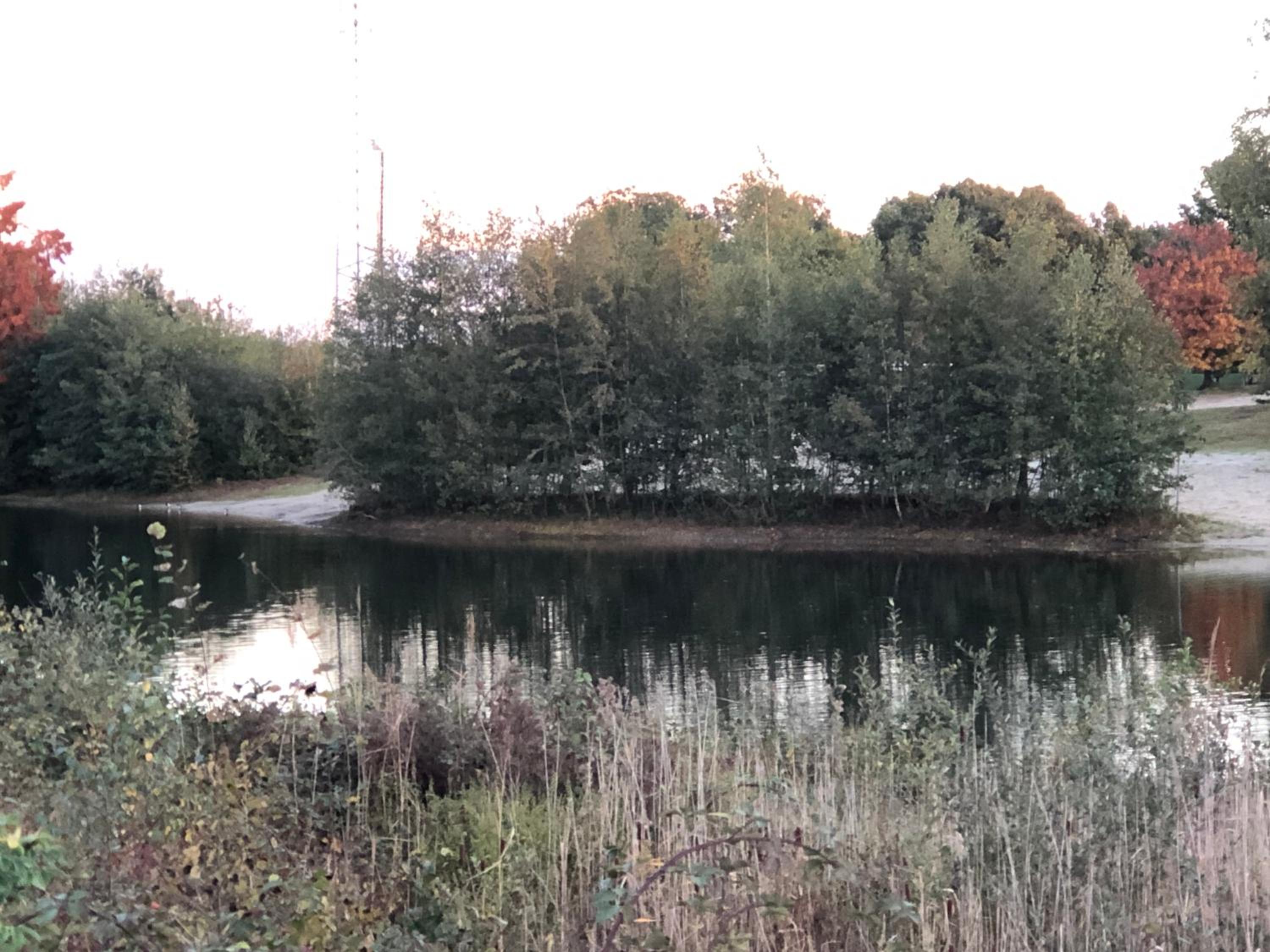 Photo 35