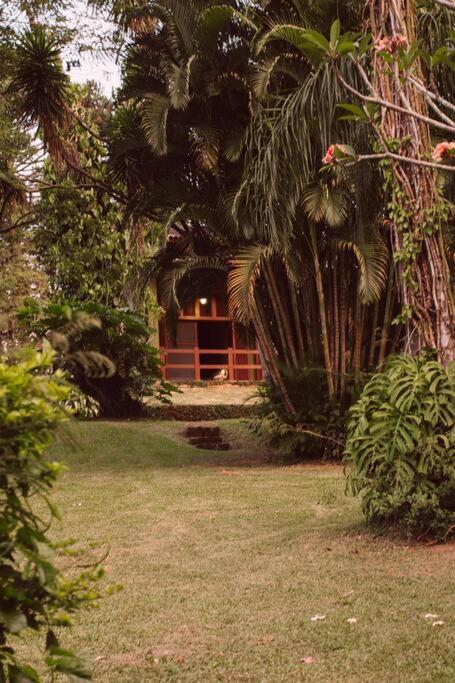 Casa Pinheiral