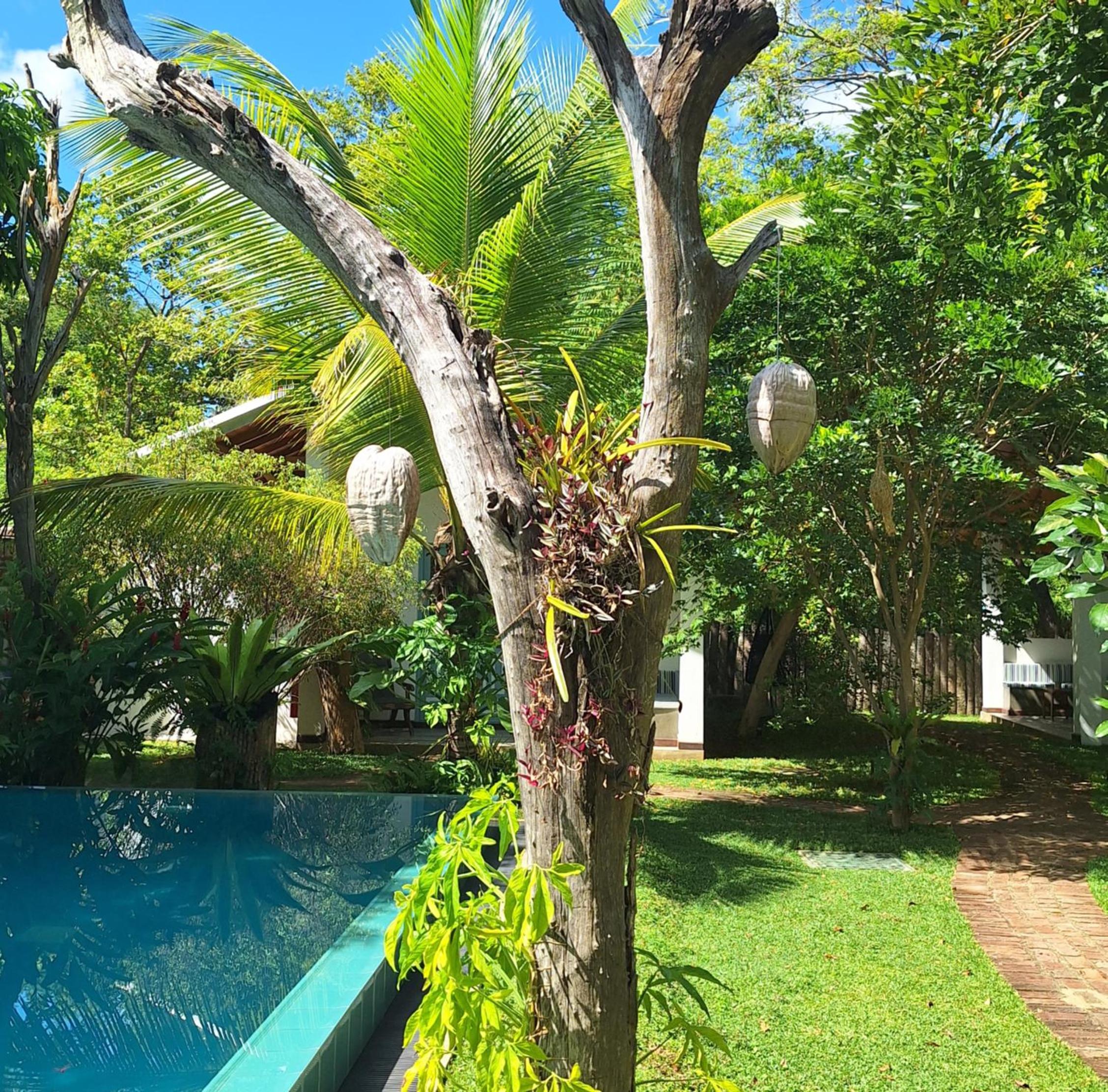 Kandalama Lodge