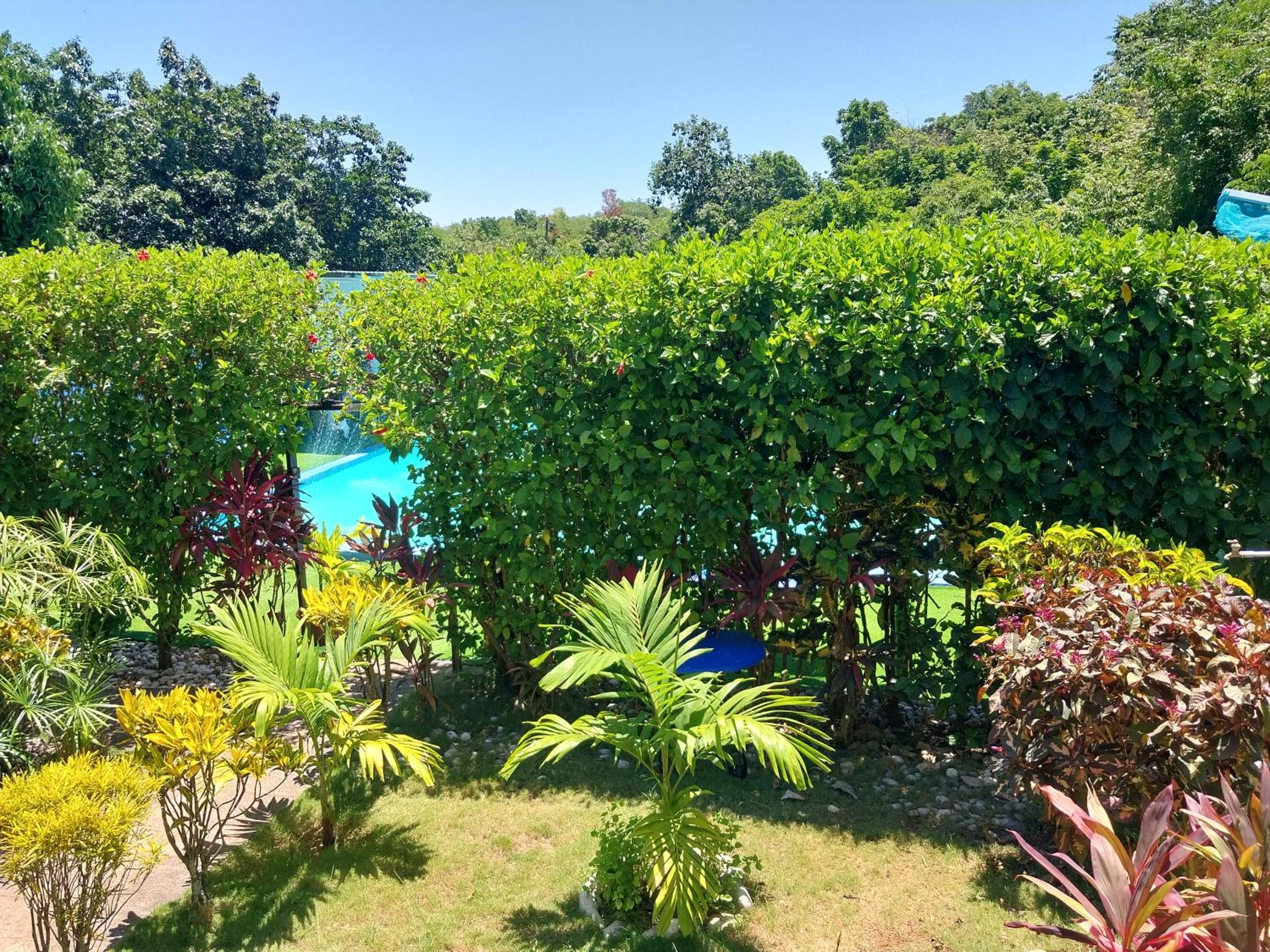 The Aquaville Rush Apartment view 5