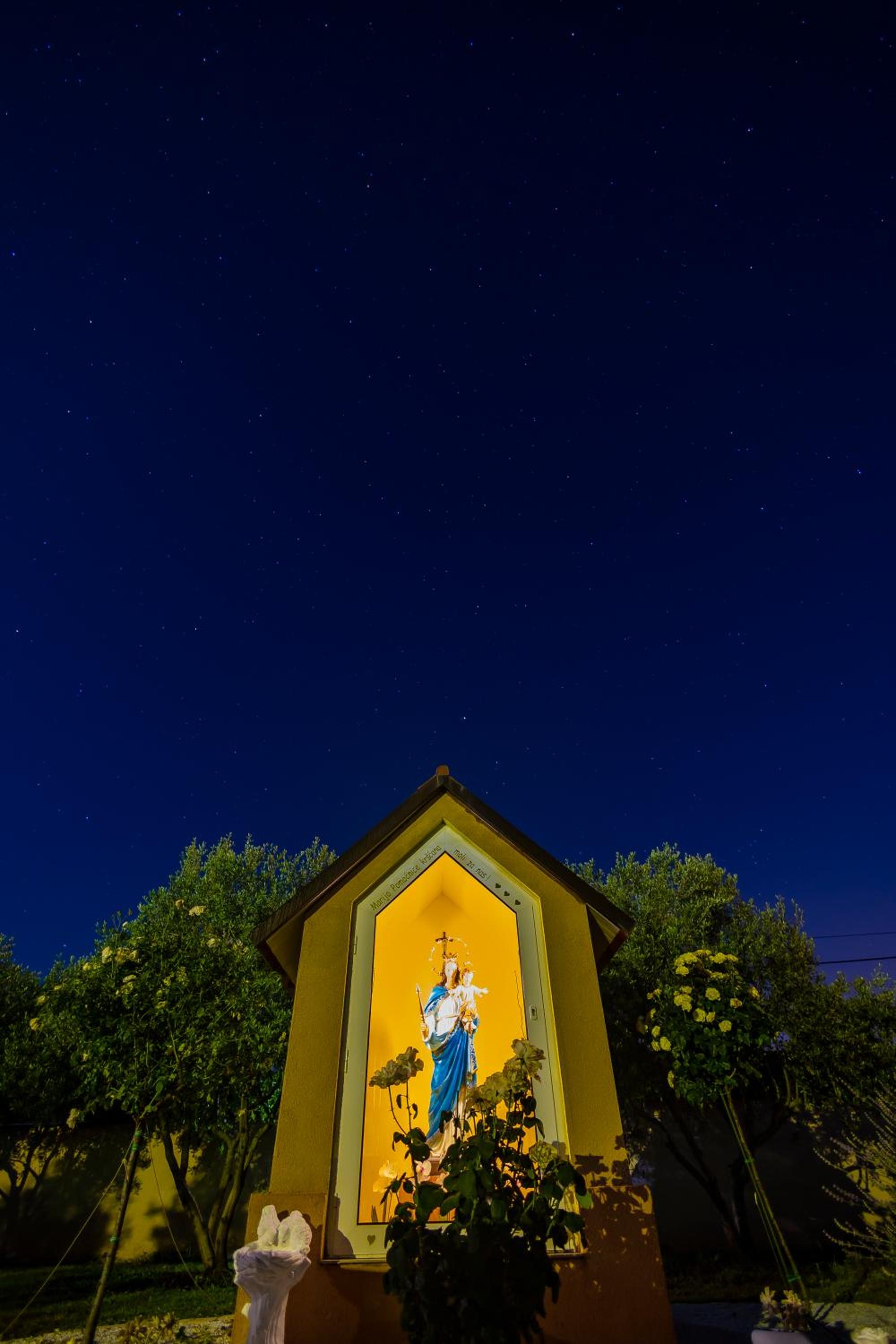 Photo 46