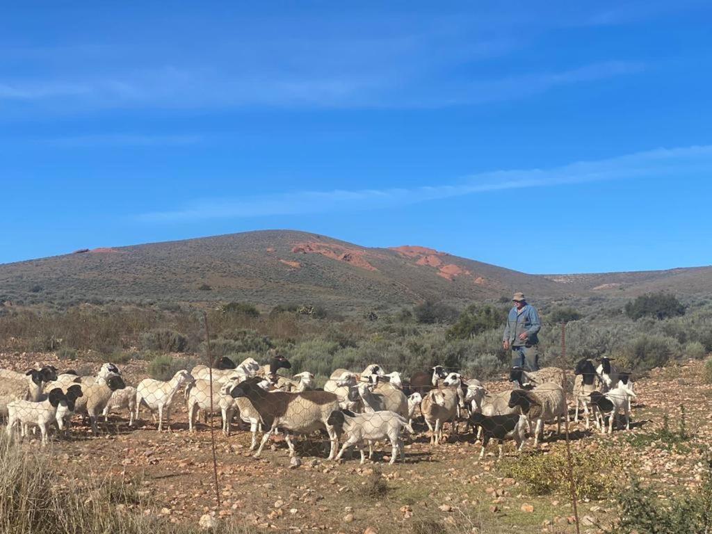Vaalwater Lodge & Bush Camp view 5