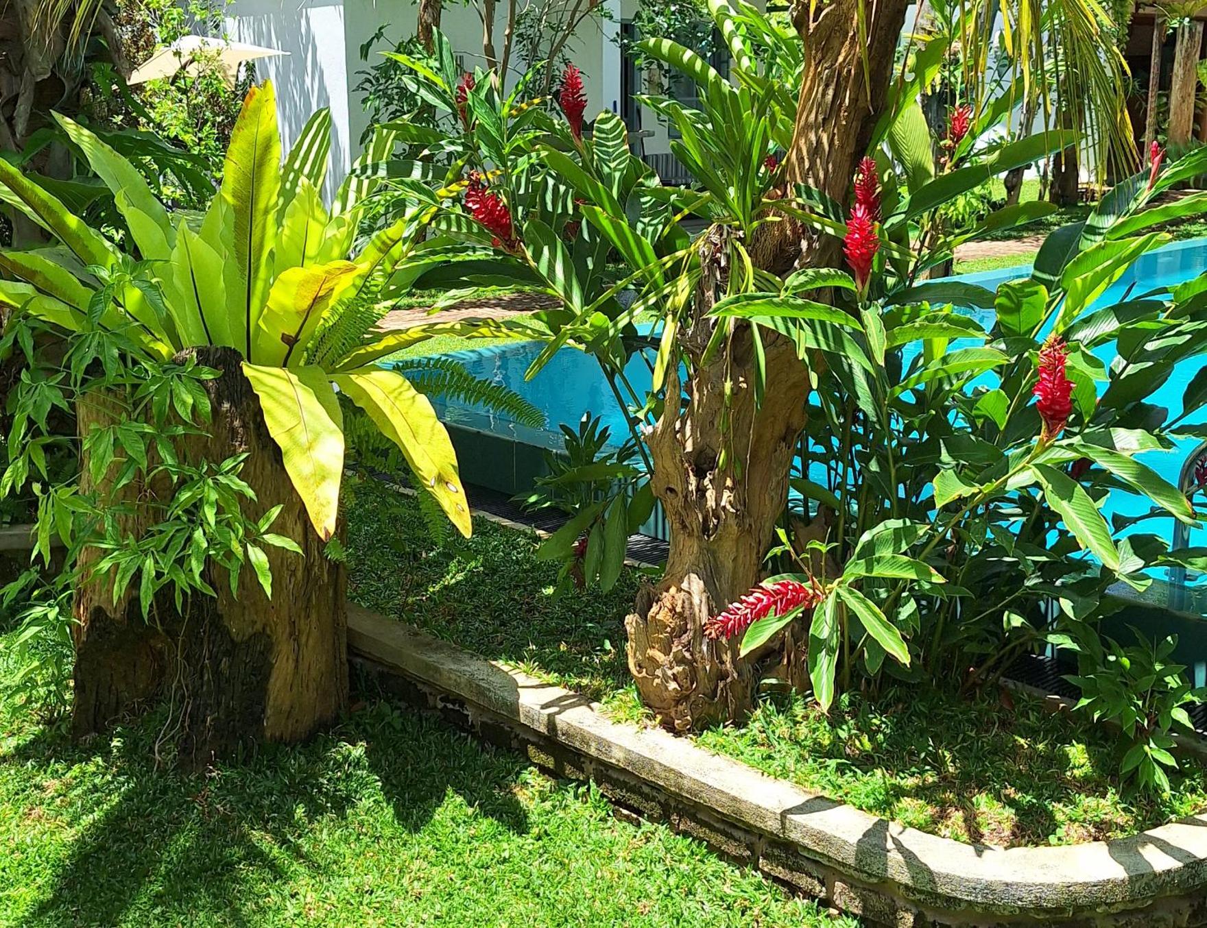 Kandalama Lodge