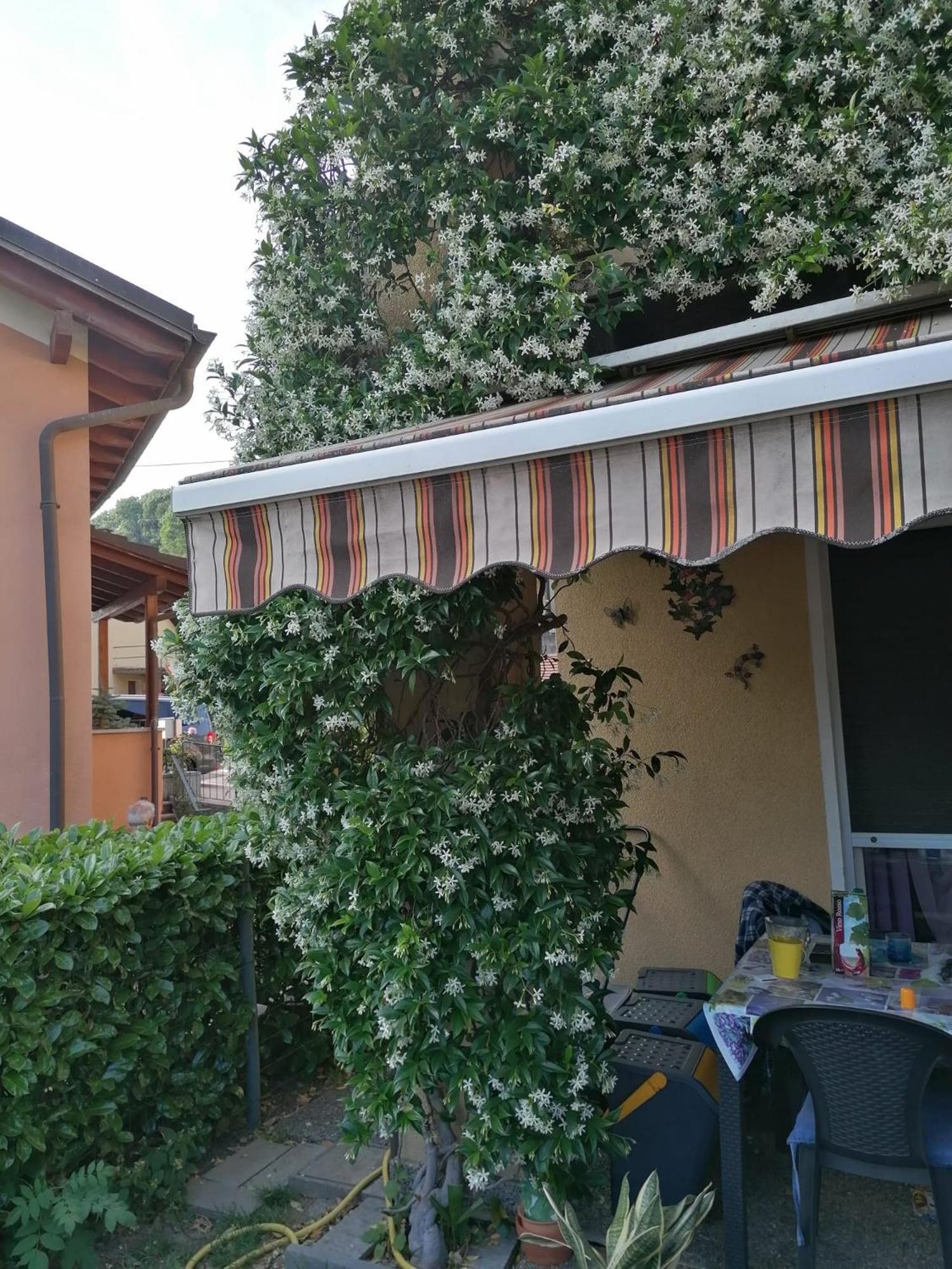 Le palme