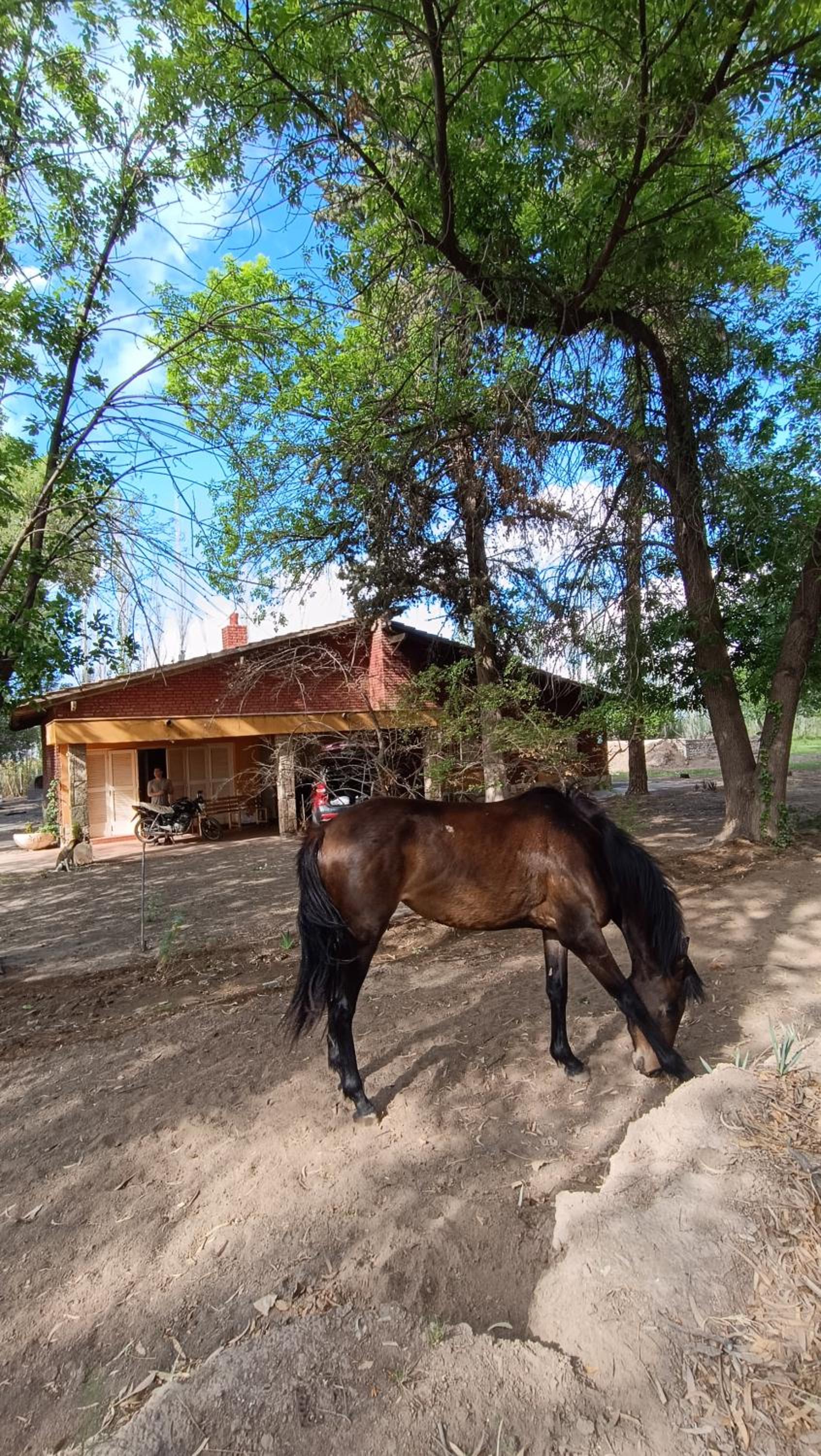 La Margarita Finca