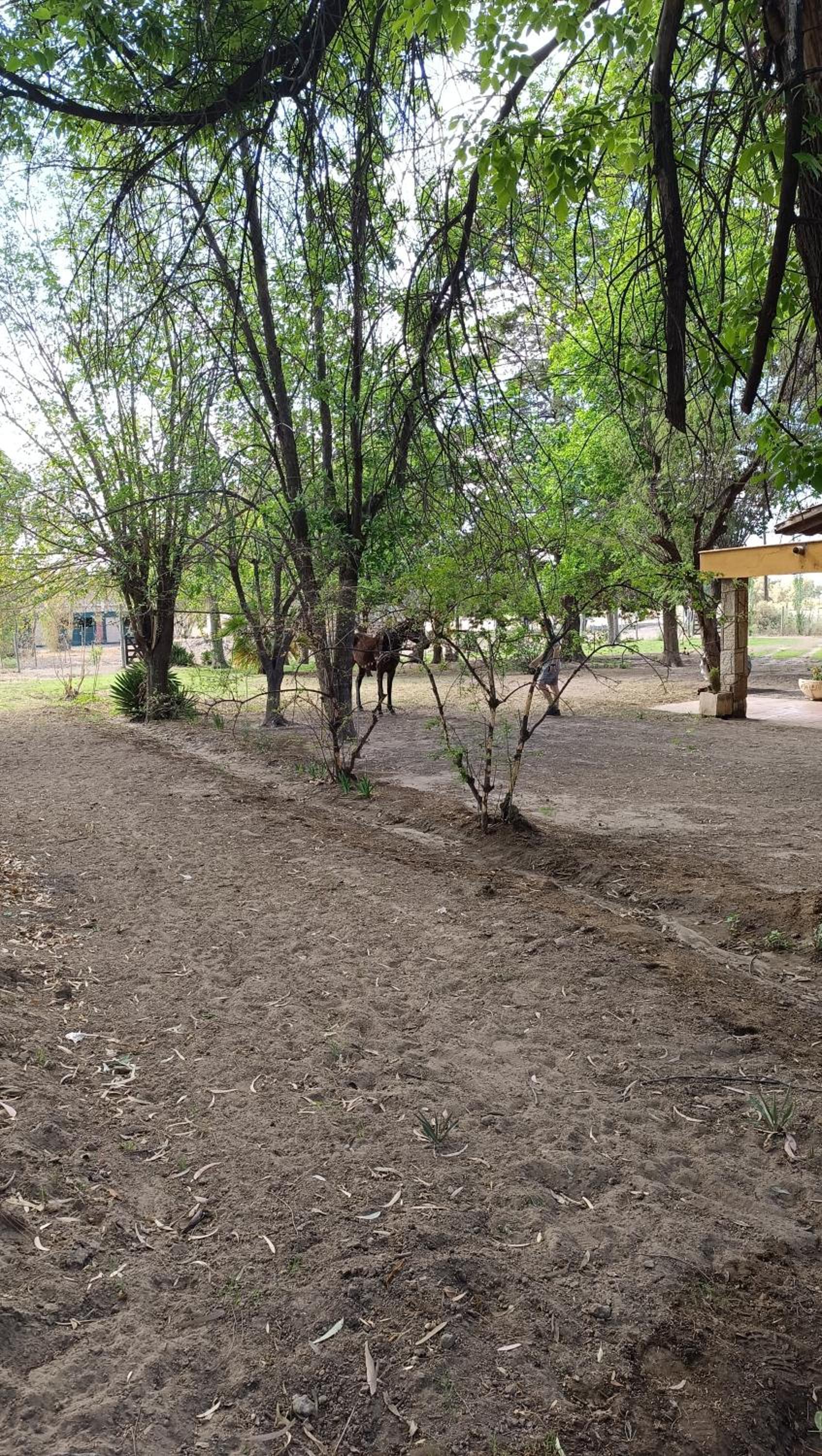 La Margarita Finca