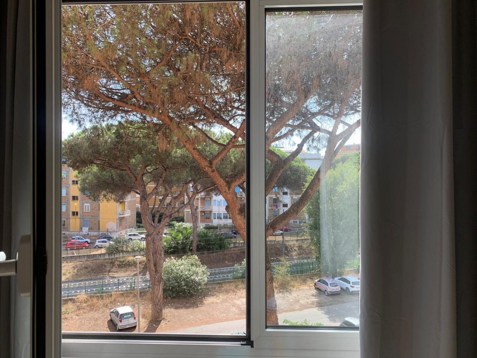 Casa VerdeMare photo 3