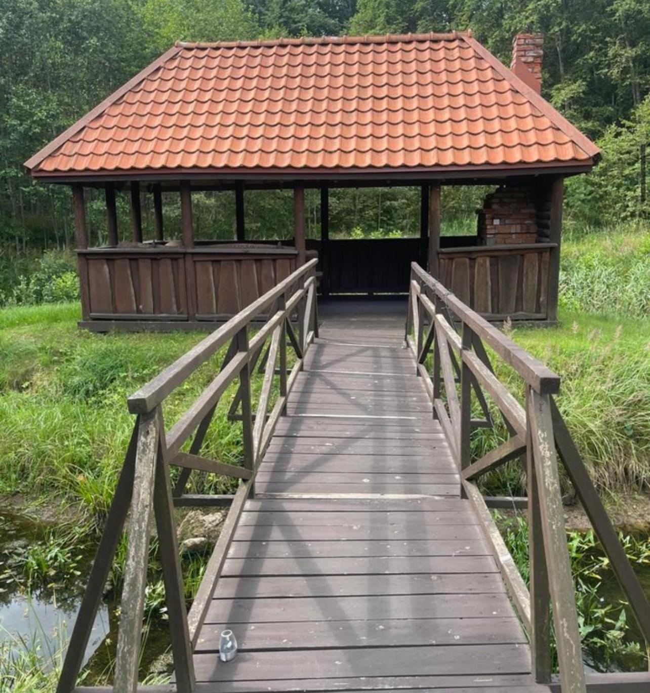 Forest House view 3