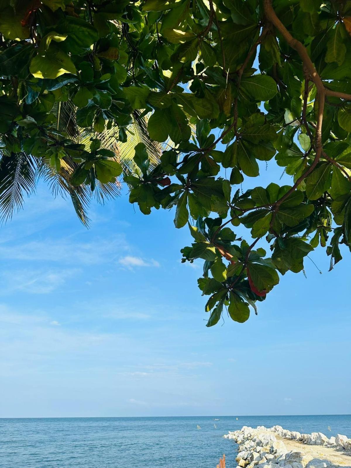 Apartamento a mts de la playa Elegante y Acogedor