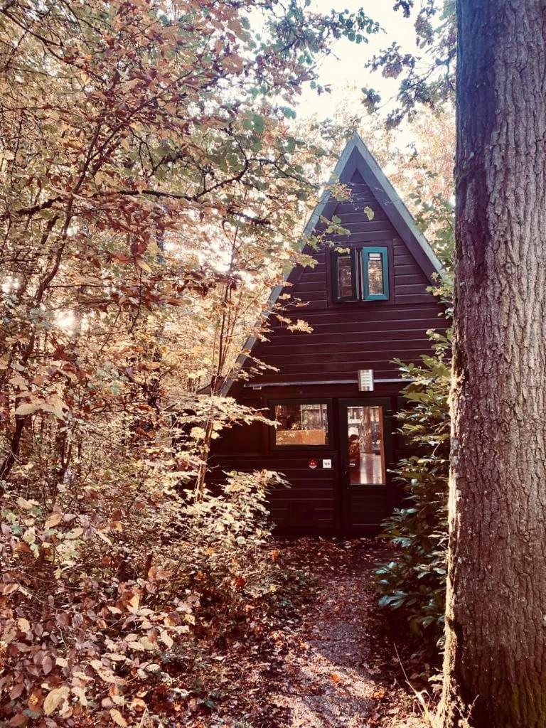 A Wood Lodge - zwembad - relax - natuur