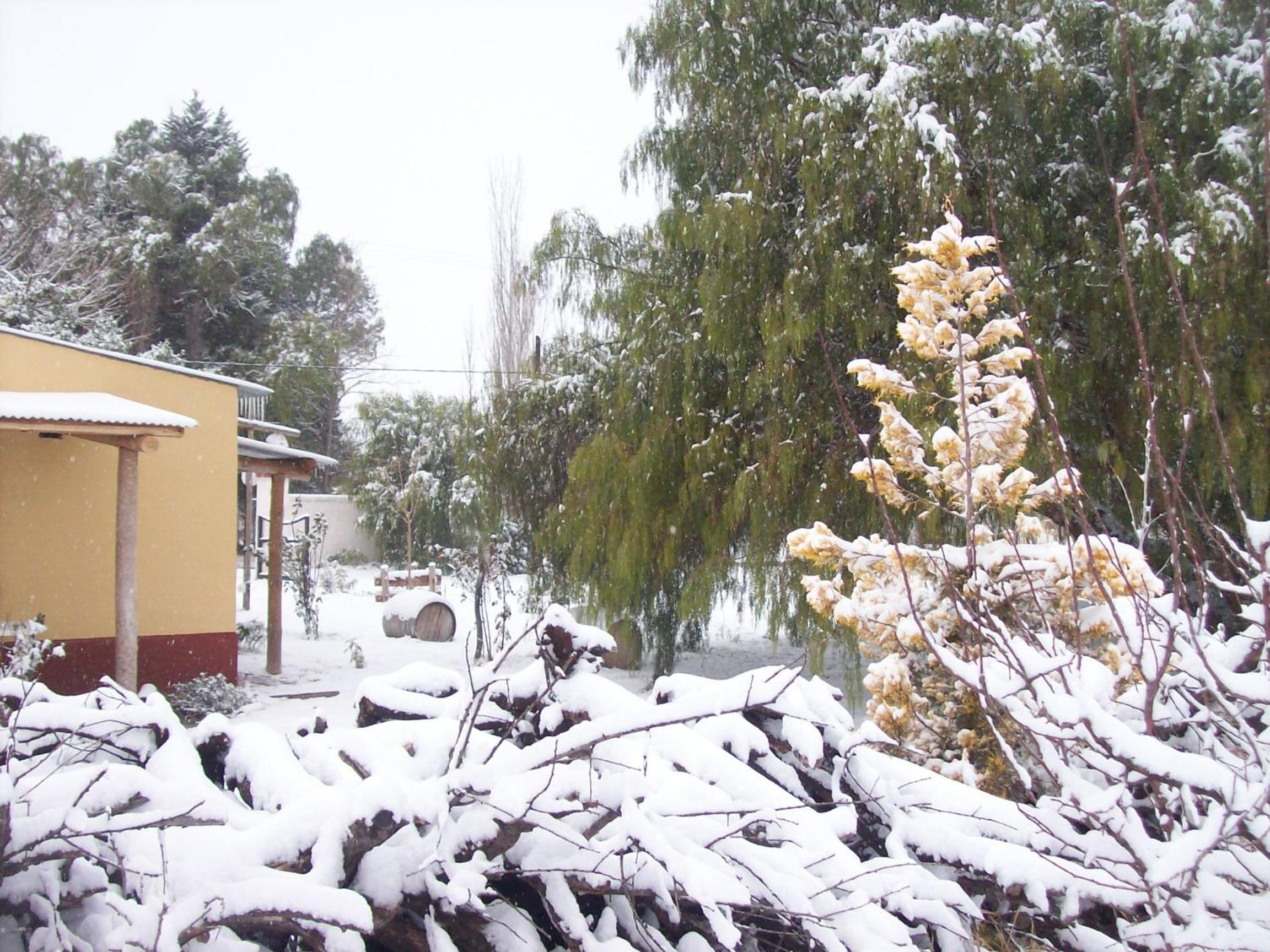 Posada San Vicente