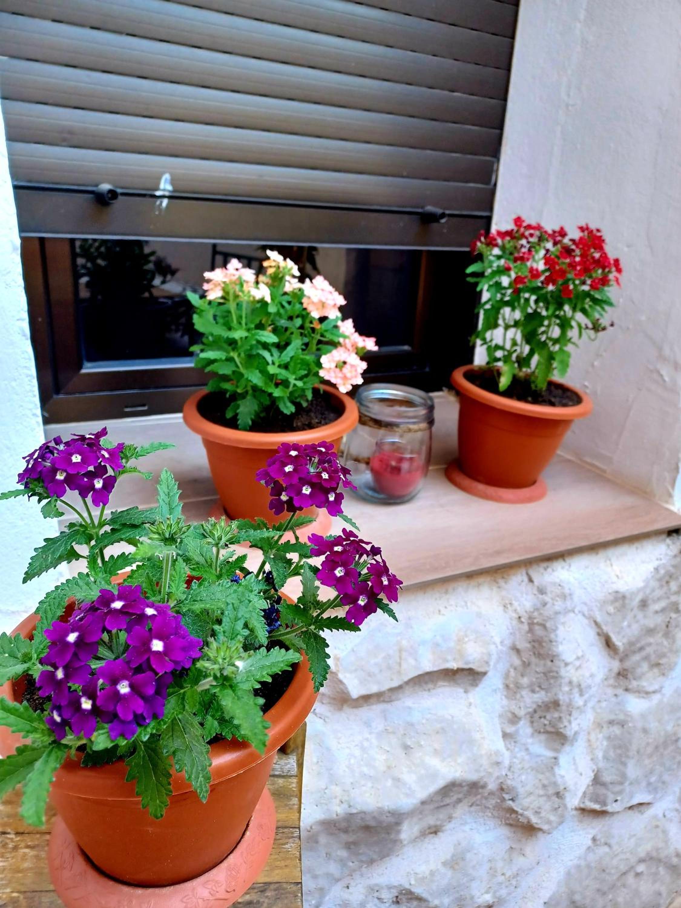 Casa rural san juan